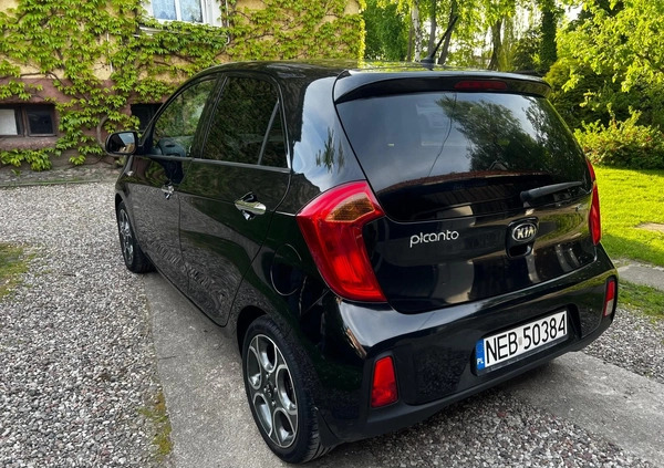 Kia Picanto cena 29900 przebieg: 56600, rok produkcji 2015 z Pasłęk małe 137